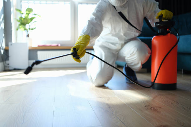 Trusted Trauma Scene Cleanup service in Maplewood, MO - Four Month Blood Cleanse